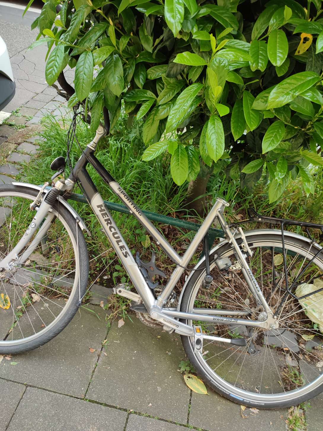 Bild zu gemeldetem Anliegen vom *2024-05-06 07:56:59