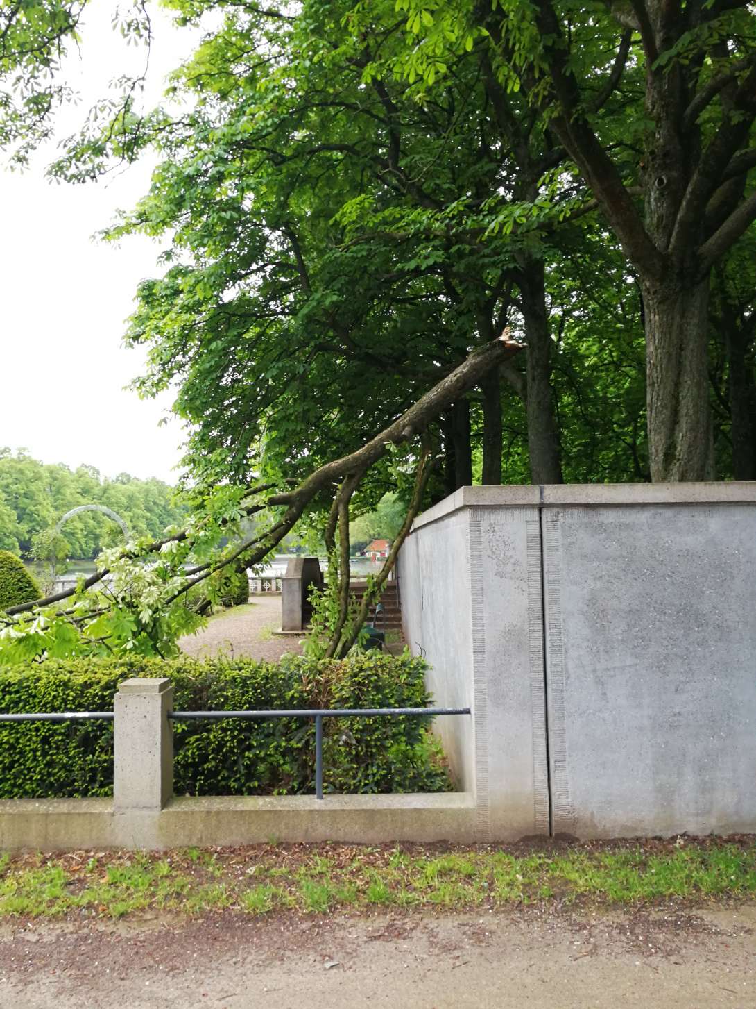 Bild zu gemeldetem Anliegen vom *2024-05-04 20:31:37
