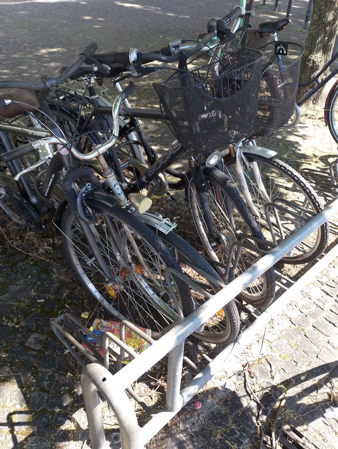 Bild zu gemeldetem Anliegen vom *2024-05-15 09:50:43