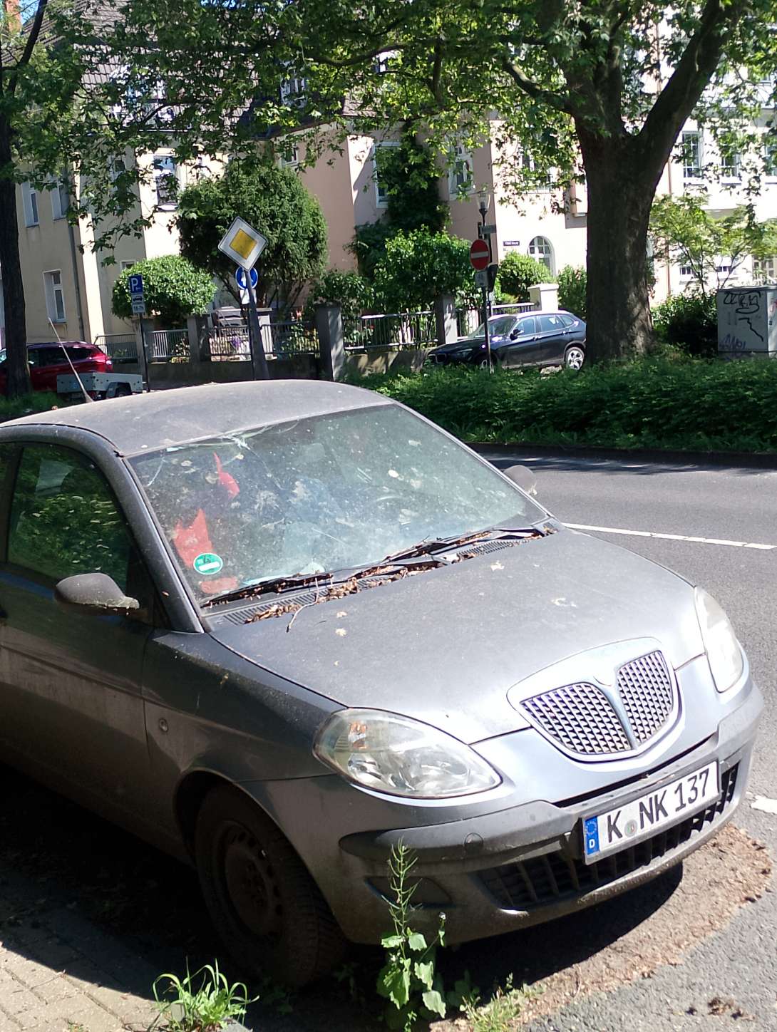 Bild zu gemeldetem Anliegen vom *2024-05-15 07:13:24