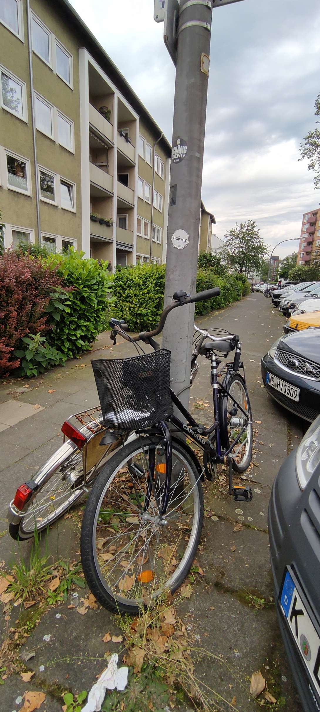 Bild zu gemeldetem Anliegen vom *2024-05-22 07:06:48