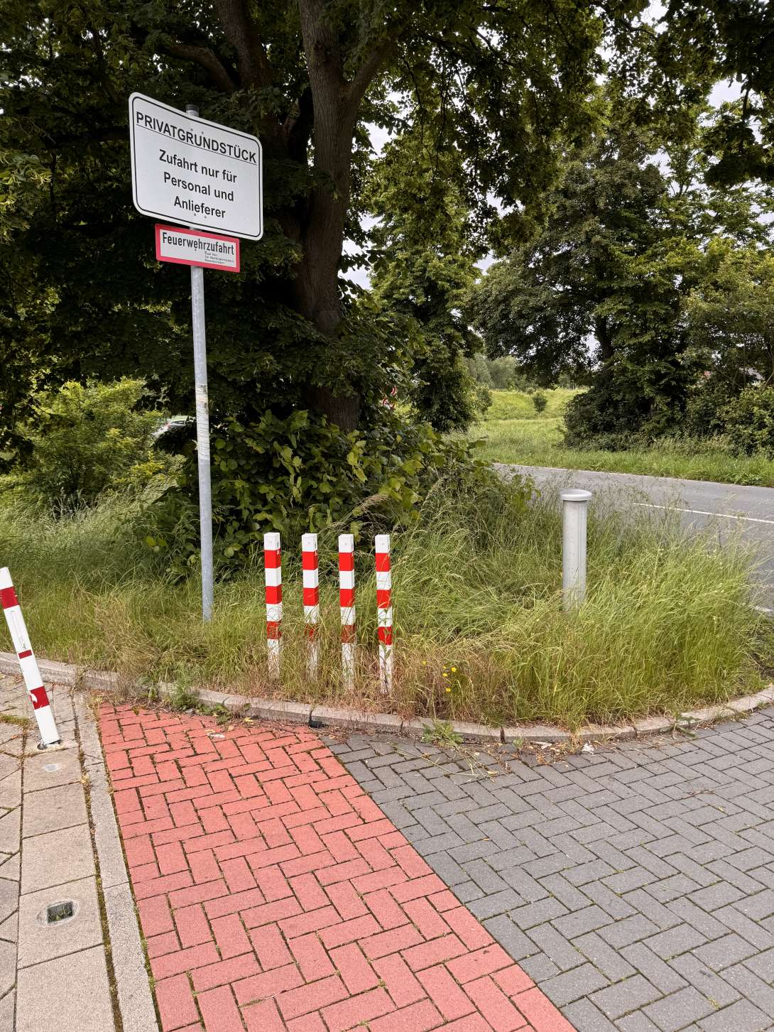 Bild zu gemeldetem Anliegen vom *2024-05-22 16:22:20