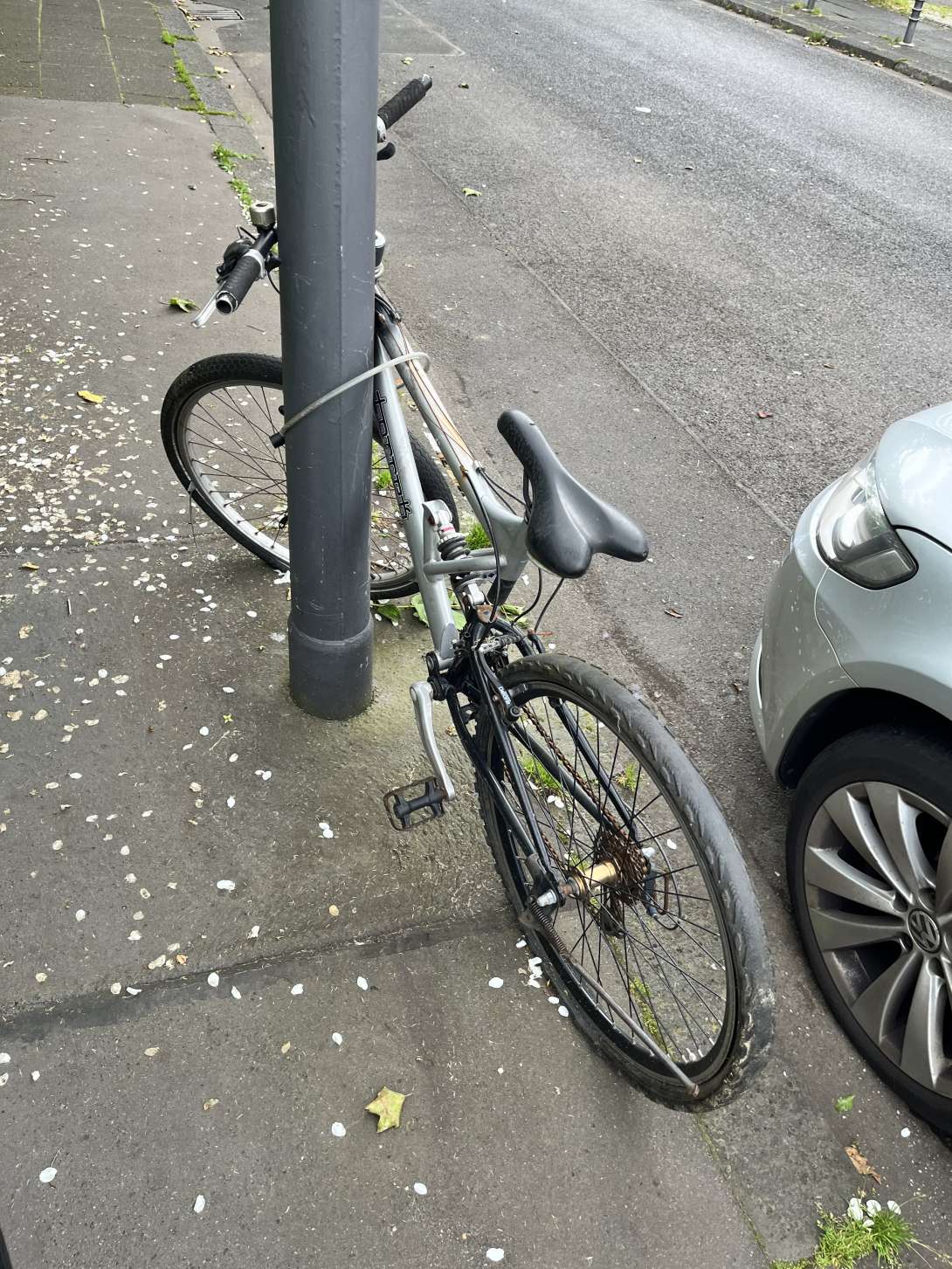 Bild zu gemeldetem Anliegen vom *2024-05-31 07:10:25