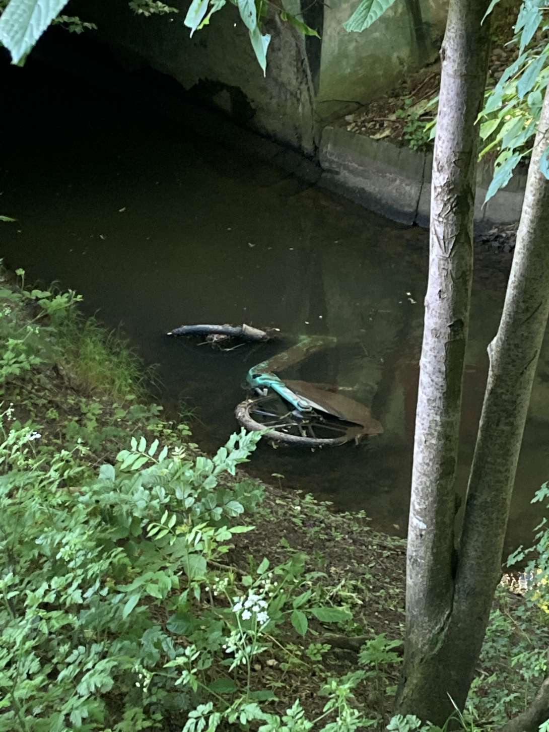 Bild zu gemeldetem Anliegen vom *2024-05-14 09:17:13