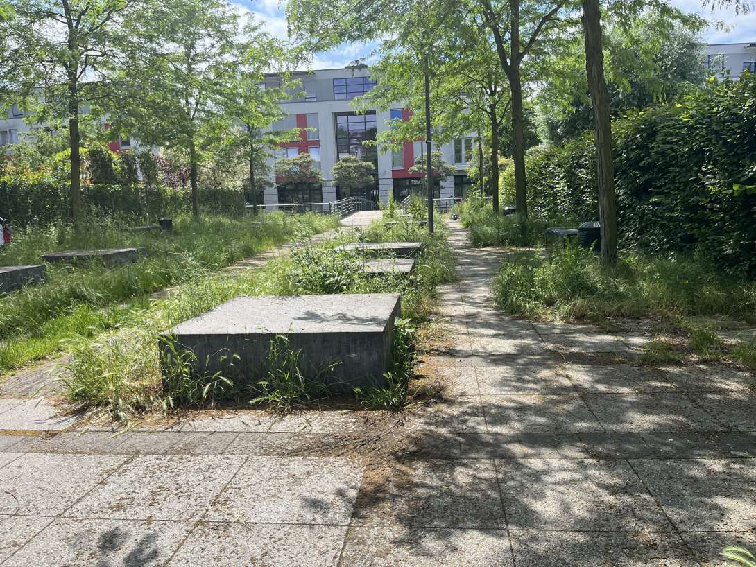 Bild zu gemeldetem Anliegen vom *2024-05-25 16:01:57