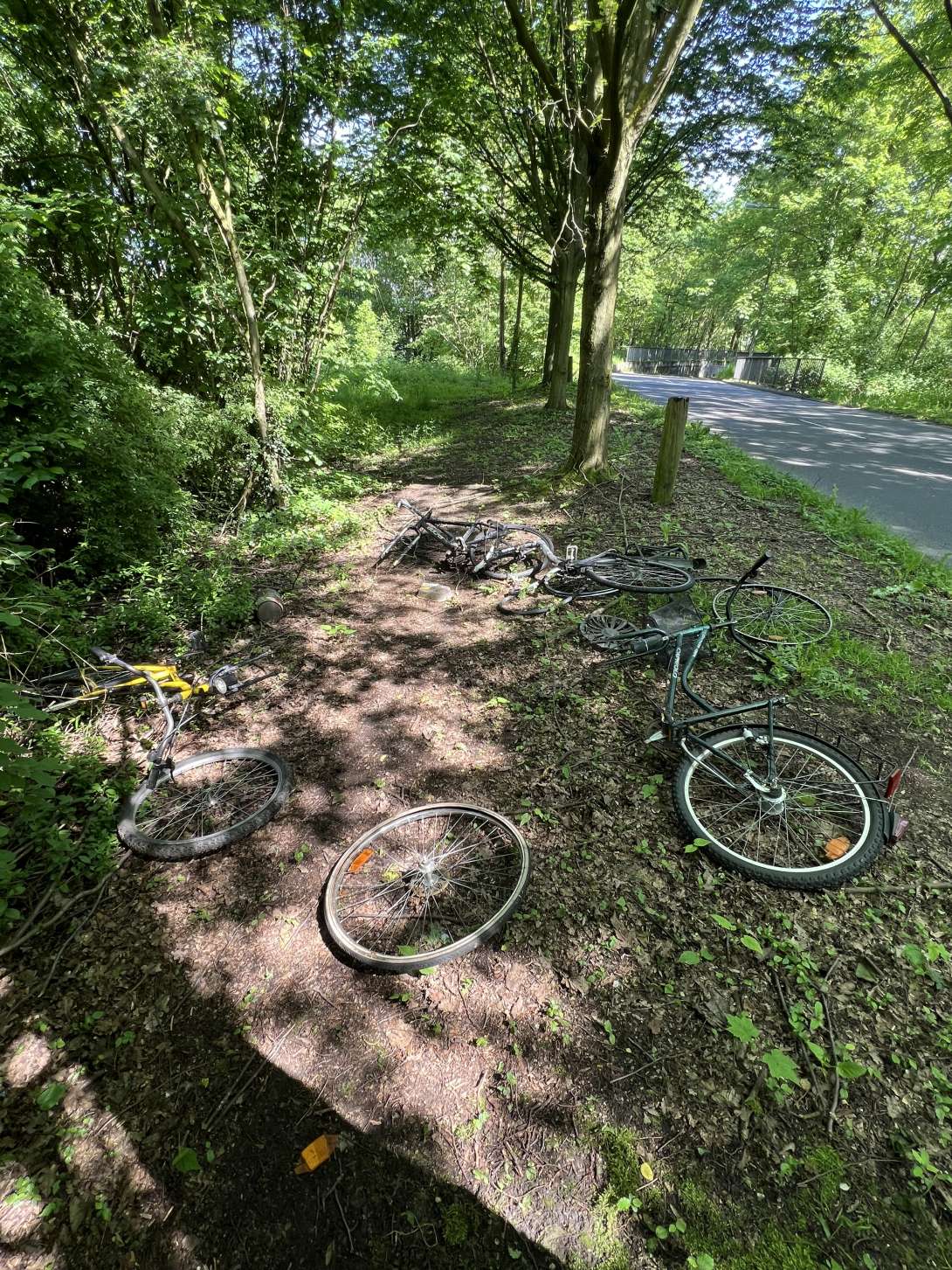 Bild zu gemeldetem Anliegen vom *2024-05-10 16:45:56