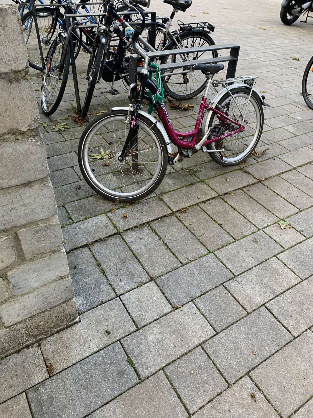 Bild zu gemeldetem Anliegen vom *2024-05-26 20:44:28