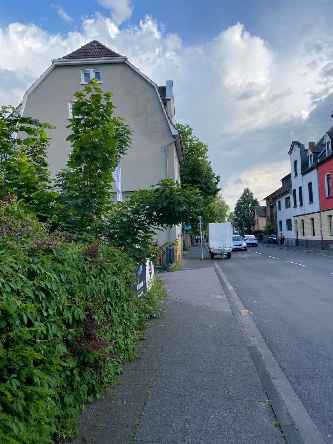 Bild zu gemeldetem Anliegen vom *2024-05-23 22:41:28