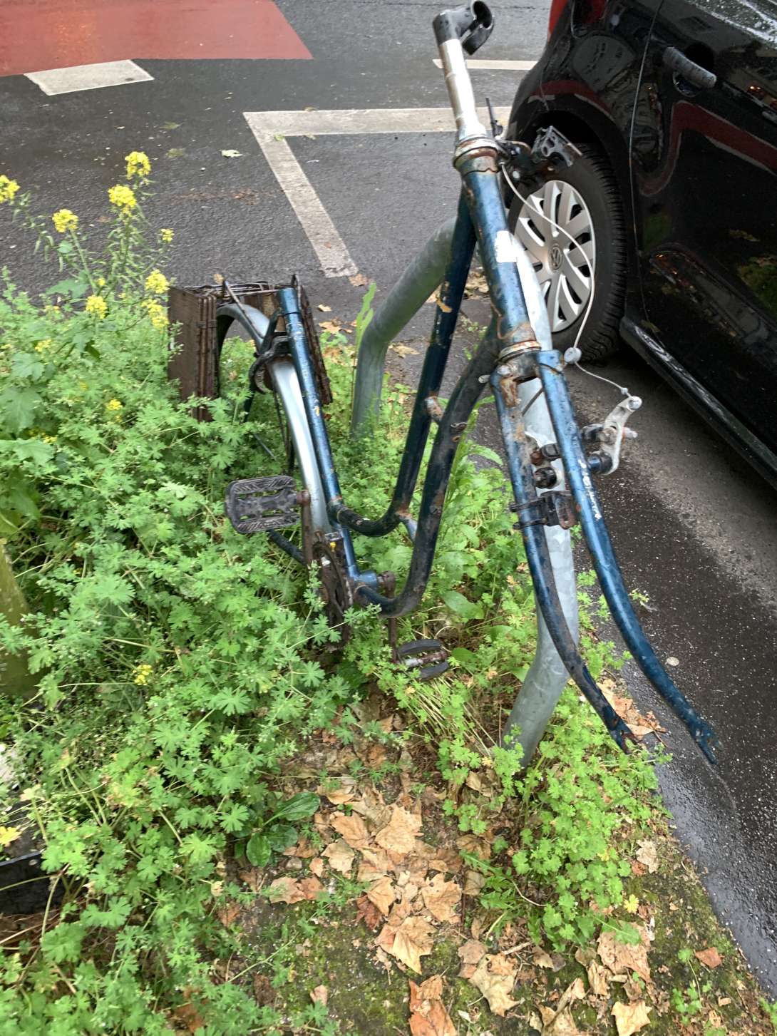 Bild zu gemeldetem Anliegen vom *2024-05-23 11:19:58