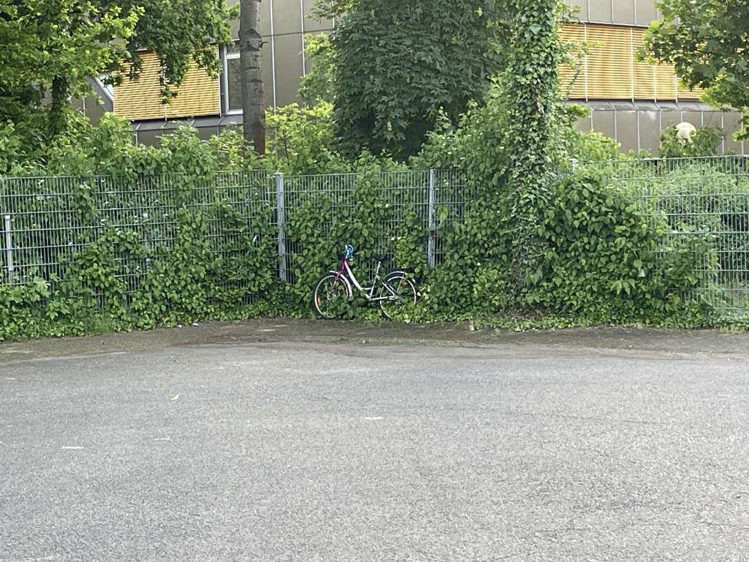 Bild zu gemeldetem Anliegen vom *2024-05-13 10:33:51