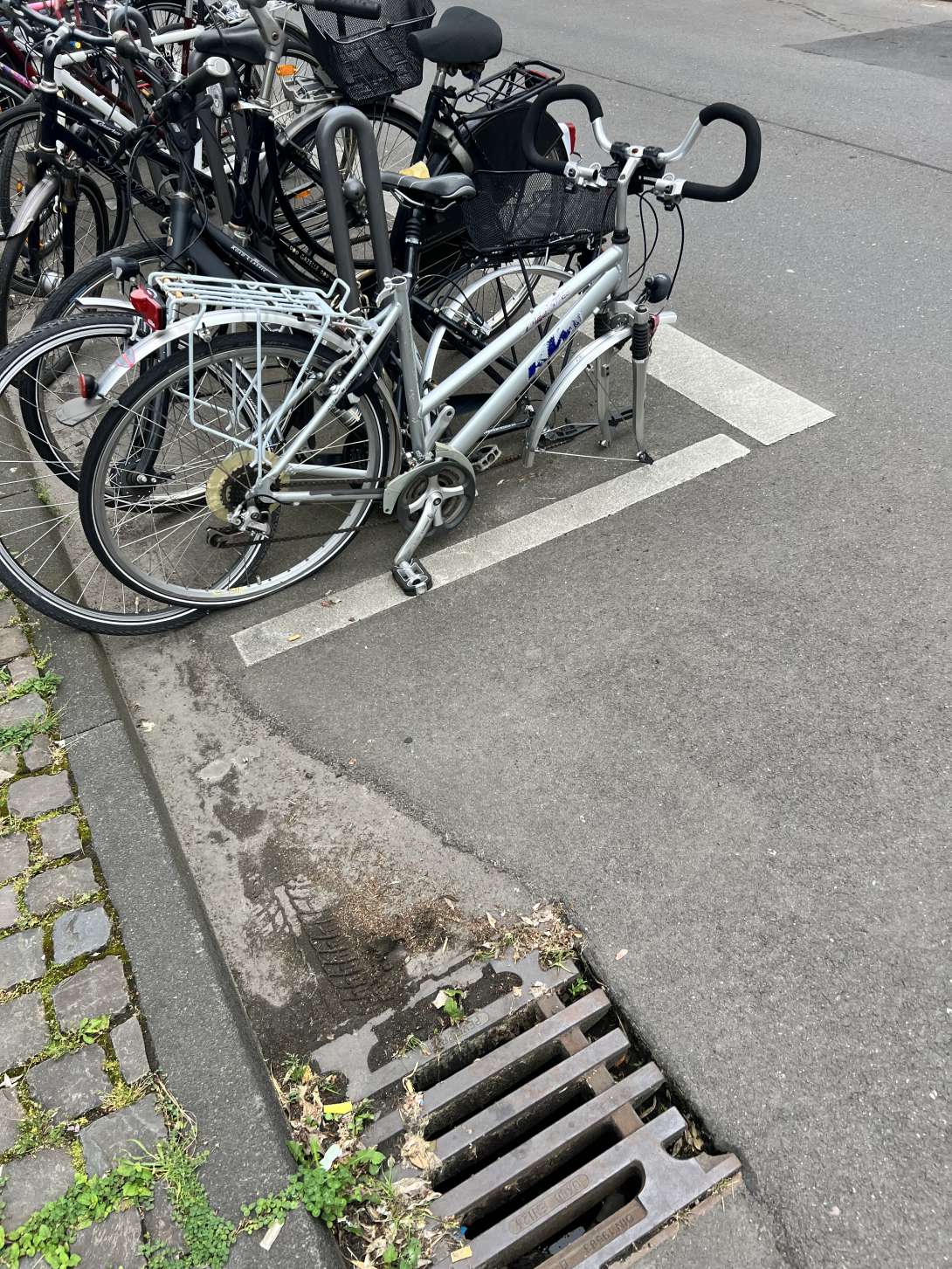 Bild zu gemeldetem Anliegen vom *2024-05-21 08:51:51