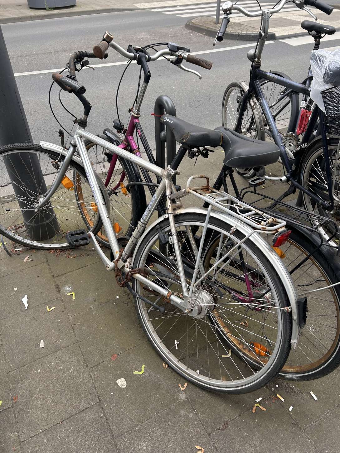 Bild zu gemeldetem Anliegen vom *2024-05-22 00:00:56