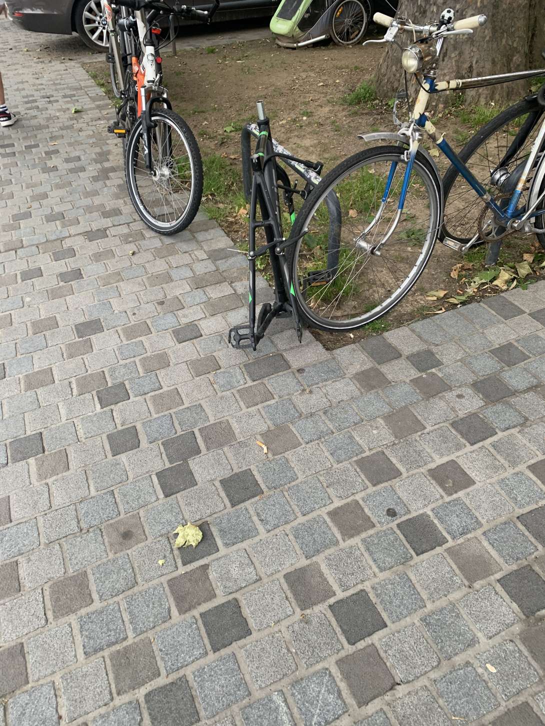 Bild zu gemeldetem Anliegen vom *2024-06-03 13:53:29