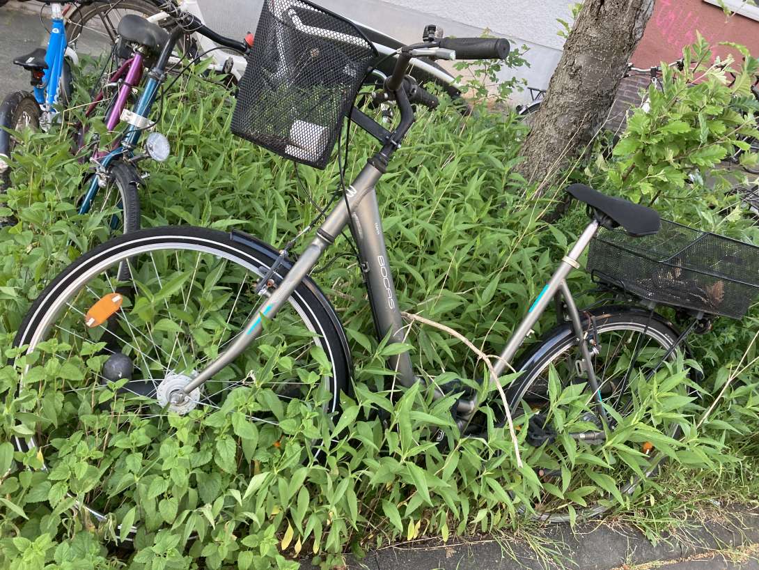 Bild zu gemeldetem Anliegen vom *2024-05-14 06:25:17