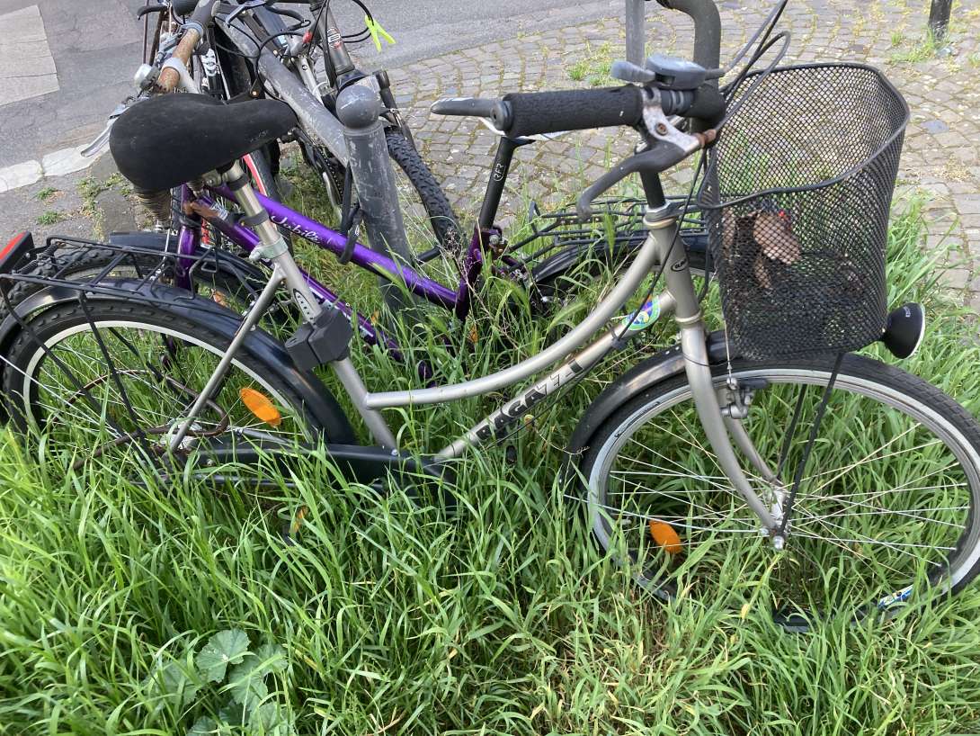 Bild zu gemeldetem Anliegen vom *2024-05-14 06:29:45