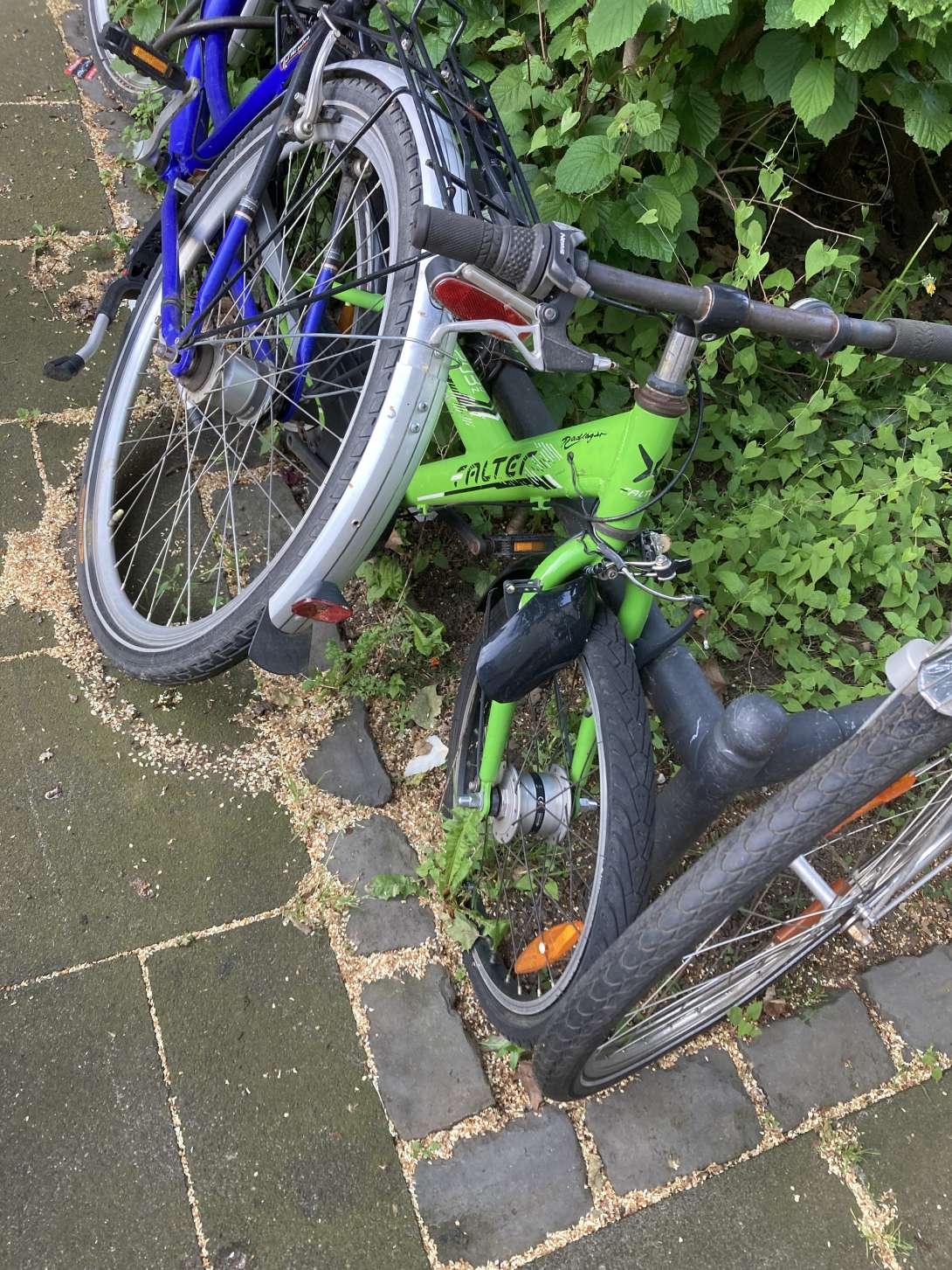 Bild zu gemeldetem Anliegen vom *2024-05-14 07:24:09