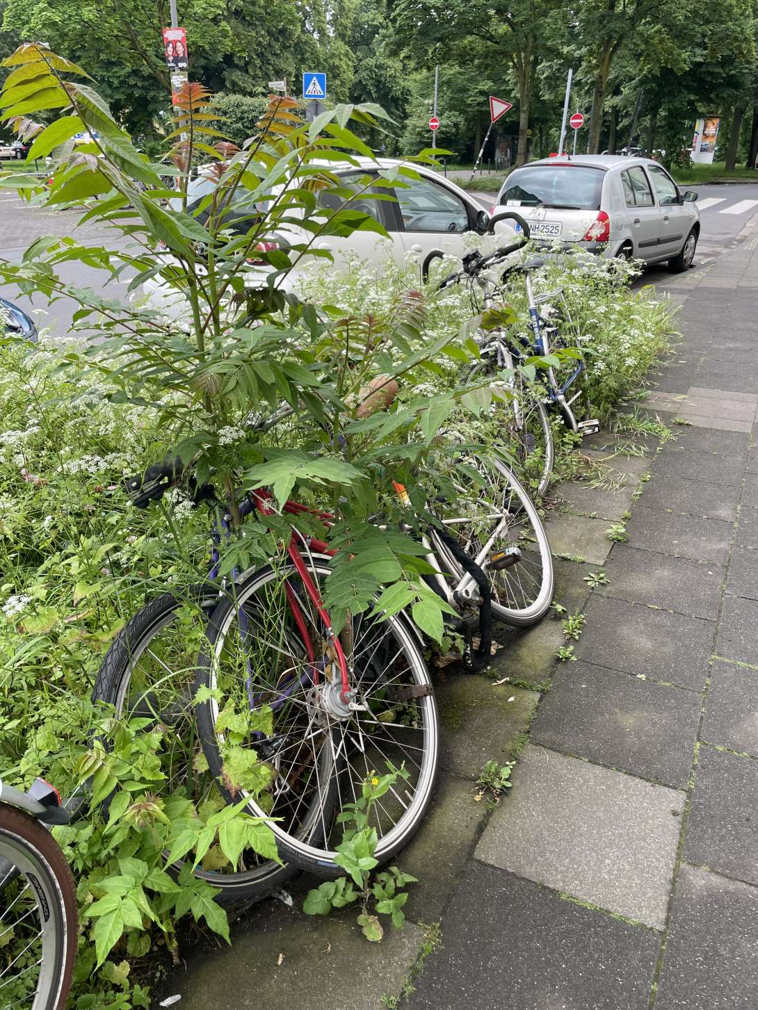 Bild zu gemeldetem Anliegen vom *2024-05-23 17:27:29