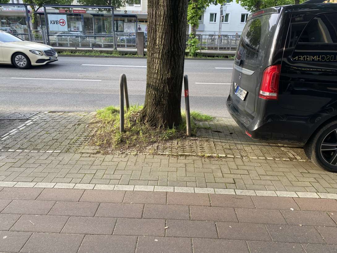 Bild zu gemeldetem Anliegen vom *2024-05-10 19:07:10