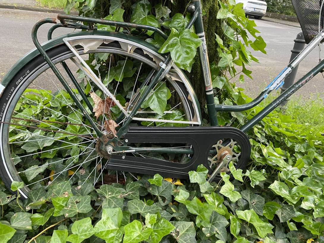 Bild zu gemeldetem Anliegen vom *2024-05-14 23:04:07