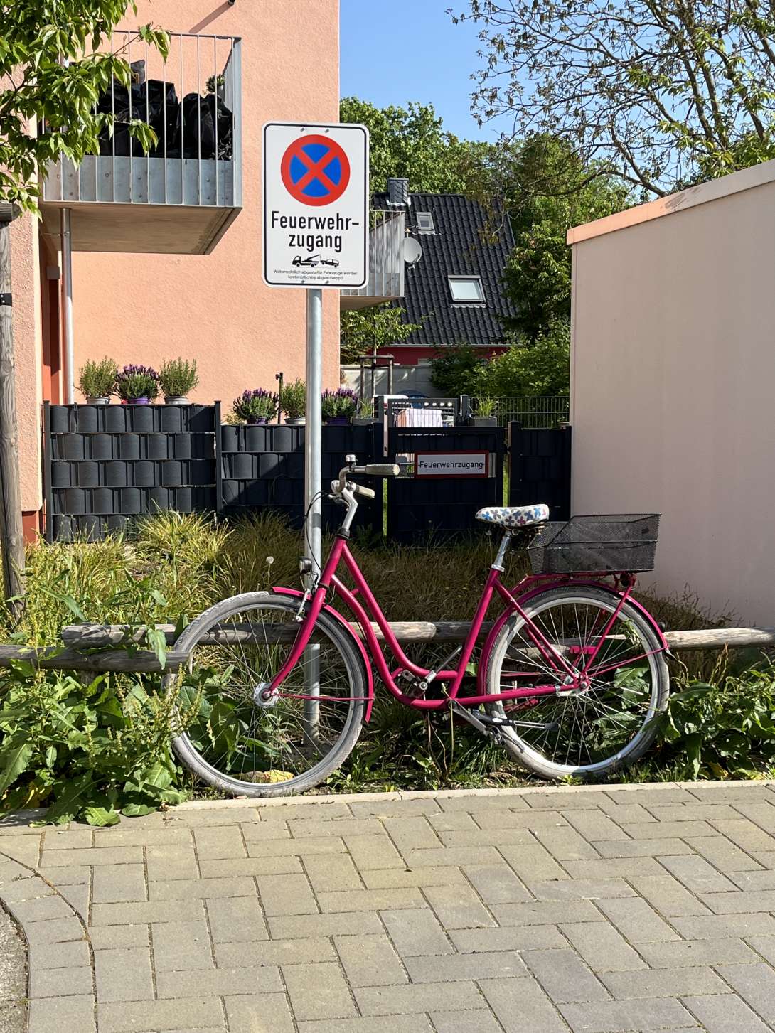 Bild zu gemeldetem Anliegen vom *2024-05-08 09:06:18