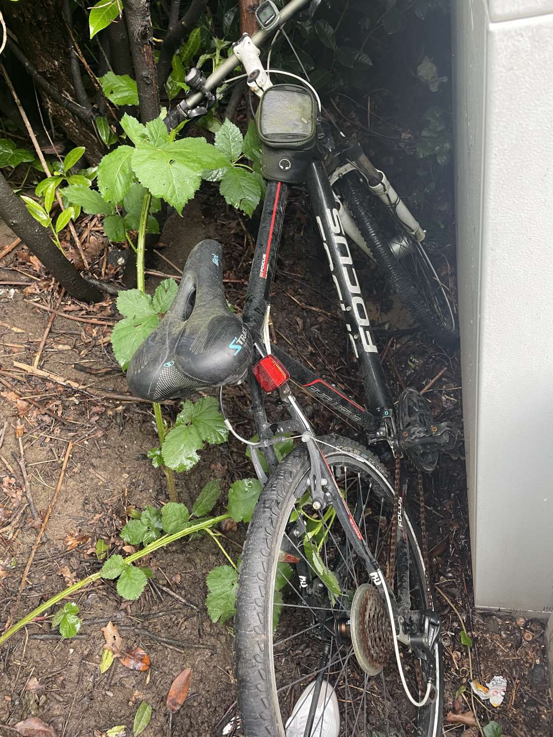 Bild zu gemeldetem Anliegen vom *2024-05-16 10:20:26