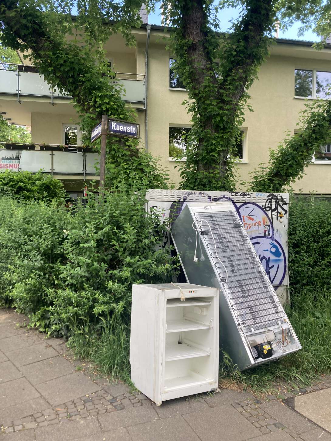 Bild zu gemeldetem Anliegen vom *2024-05-24 09:51:31