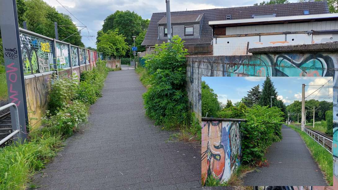 Bild zu gemeldetem Anliegen vom *2024-05-23 20:56:33