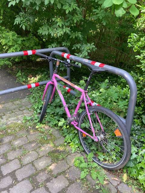 Bild zu gemeldetem Anliegen vom *2024-05-08 09:01:45