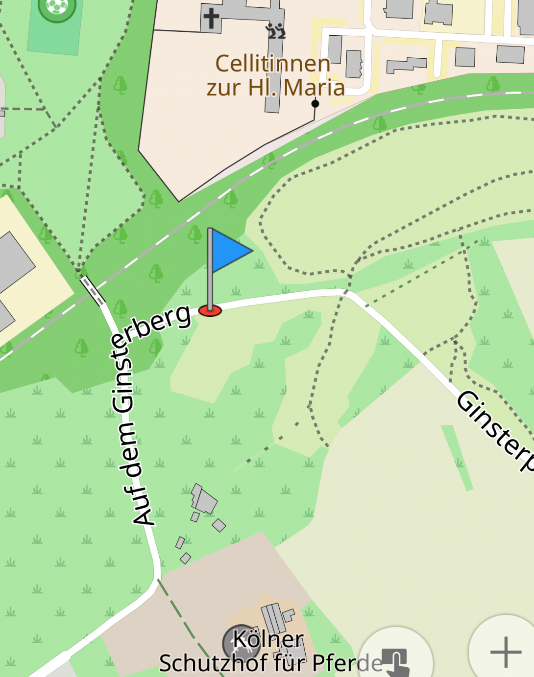 Bild zu gemeldetem Anliegen vom *2024-06-17 22:01:11