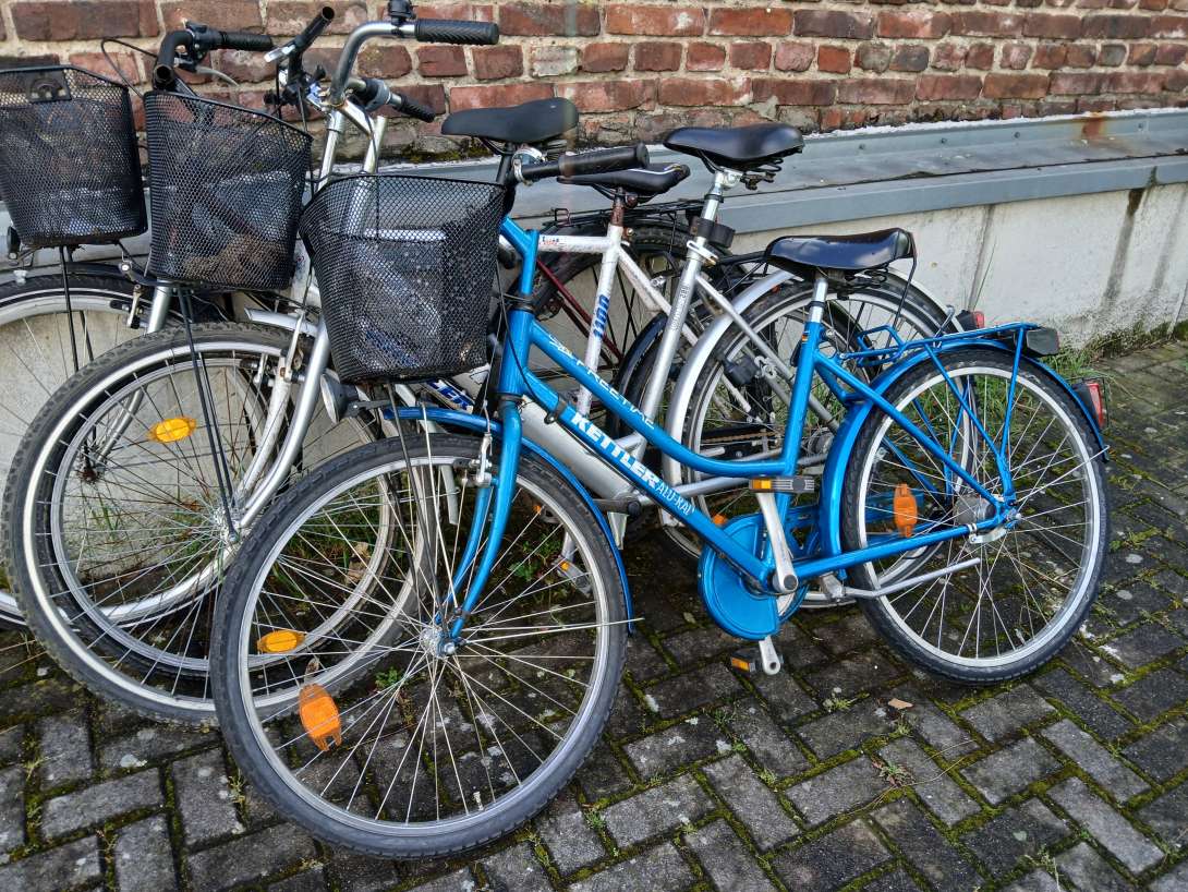 Bild zu gemeldetem Anliegen vom *2024-05-28 14:02:29