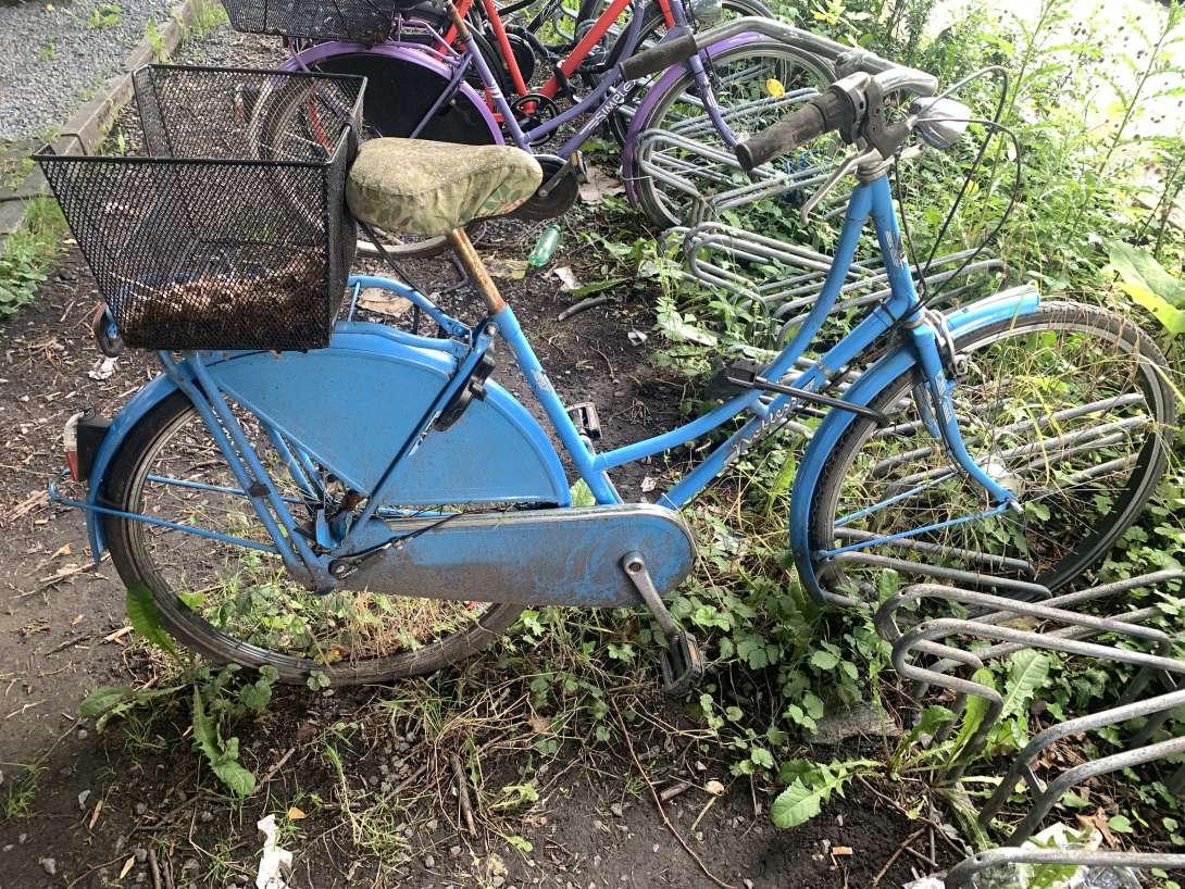 Bild zu gemeldetem Anliegen vom *2024-05-28 12:28:59