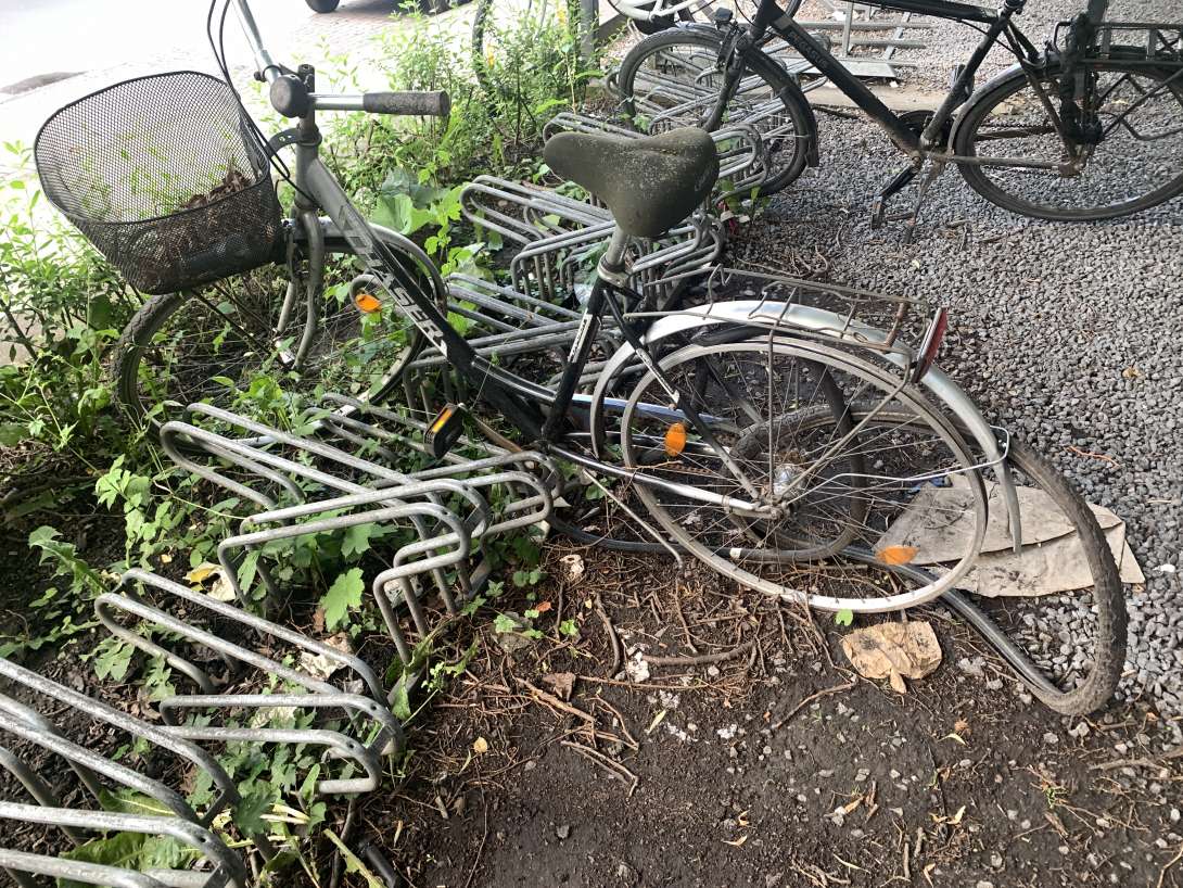 Bild zu gemeldetem Anliegen vom *2024-05-28 12:26:56