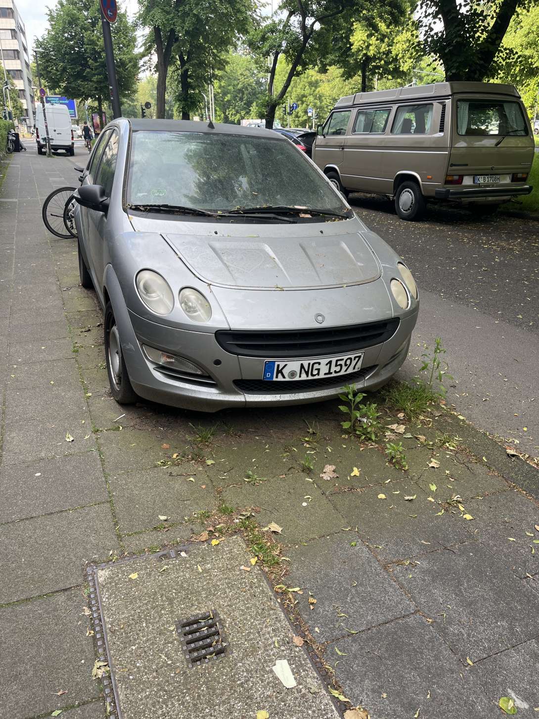 Bild zu gemeldetem Anliegen vom *2024-06-07 14:32:55