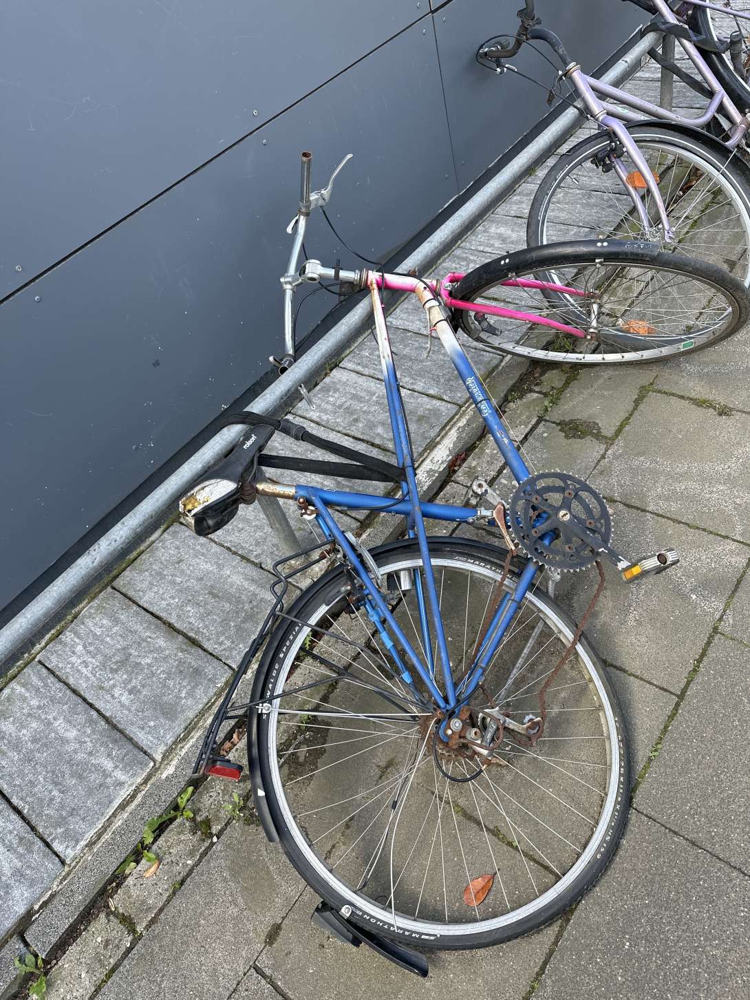 Bild zu gemeldetem Anliegen vom *2024-05-06 19:49:49