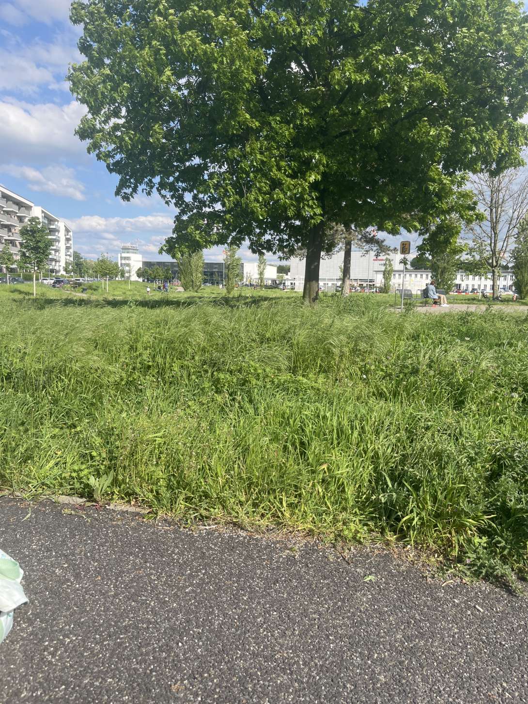 Bild zu gemeldetem Anliegen vom *2024-05-05 17:08:49