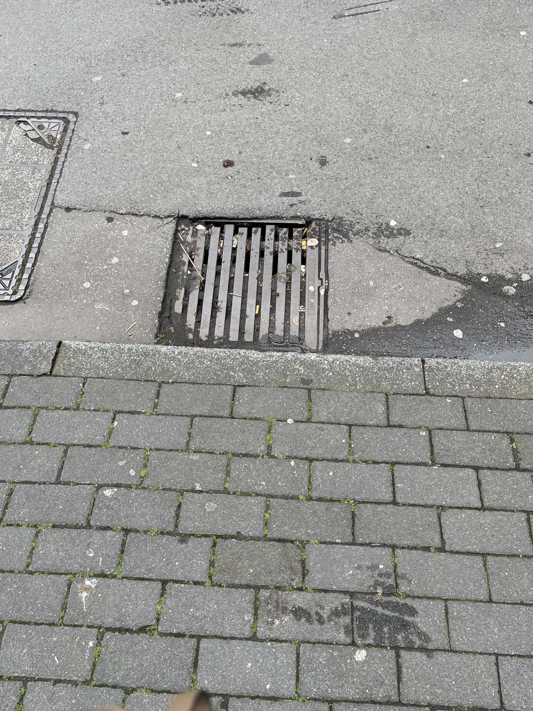Bild zu gemeldetem Anliegen vom *2024-05-08 10:40:54