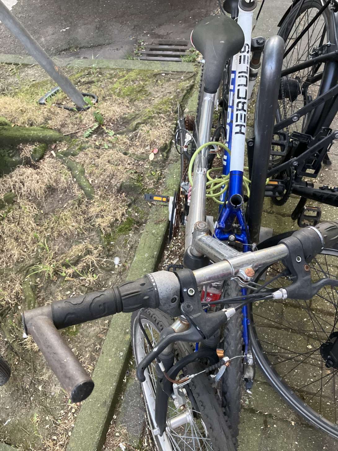 Bild zu gemeldetem Anliegen vom *2024-06-07 14:29:39