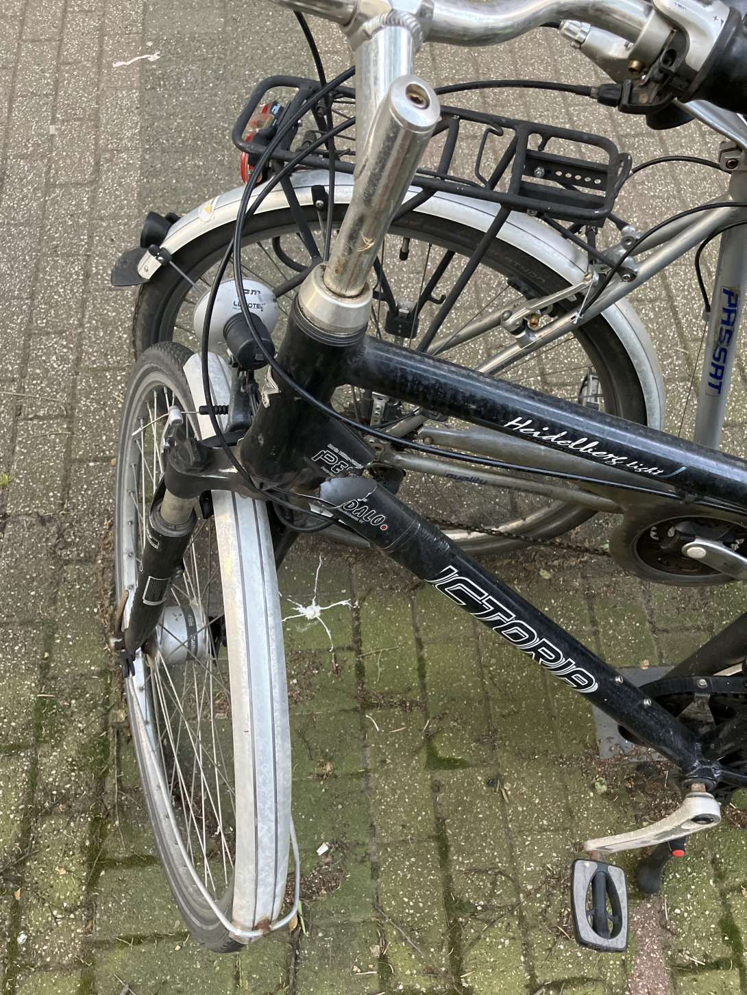 Bild zu gemeldetem Anliegen vom *2024-05-13 12:39:32