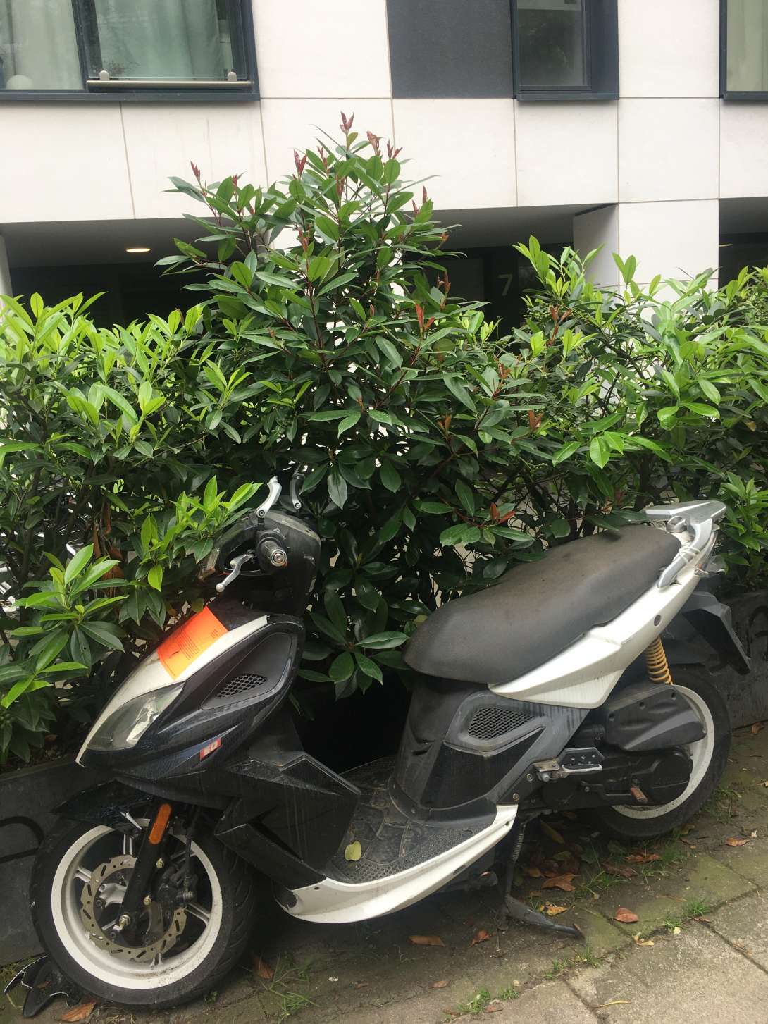 Bild zu gemeldetem Anliegen vom *2024-05-14 12:09:22