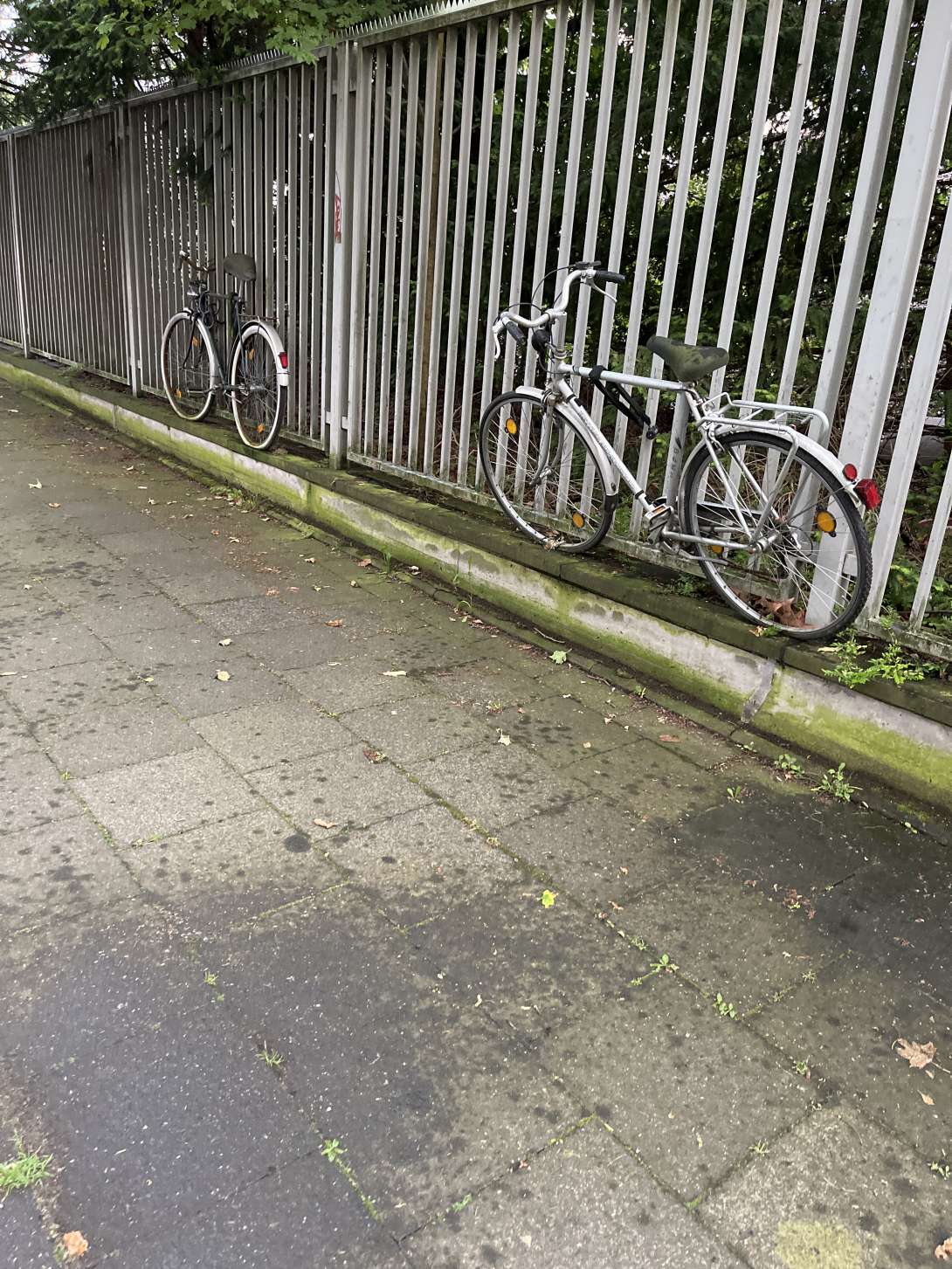 Bild zu gemeldetem Anliegen vom *2024-05-17 06:53:14