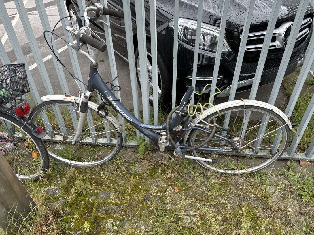 Bild zu gemeldetem Anliegen vom *2024-05-17 08:17:34