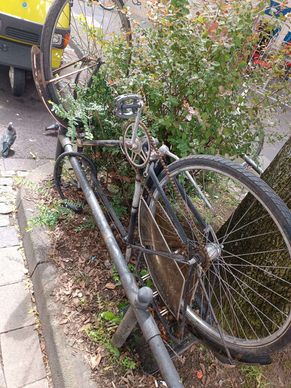 Bild zu gemeldetem Anliegen vom *2024-05-31 12:20:10