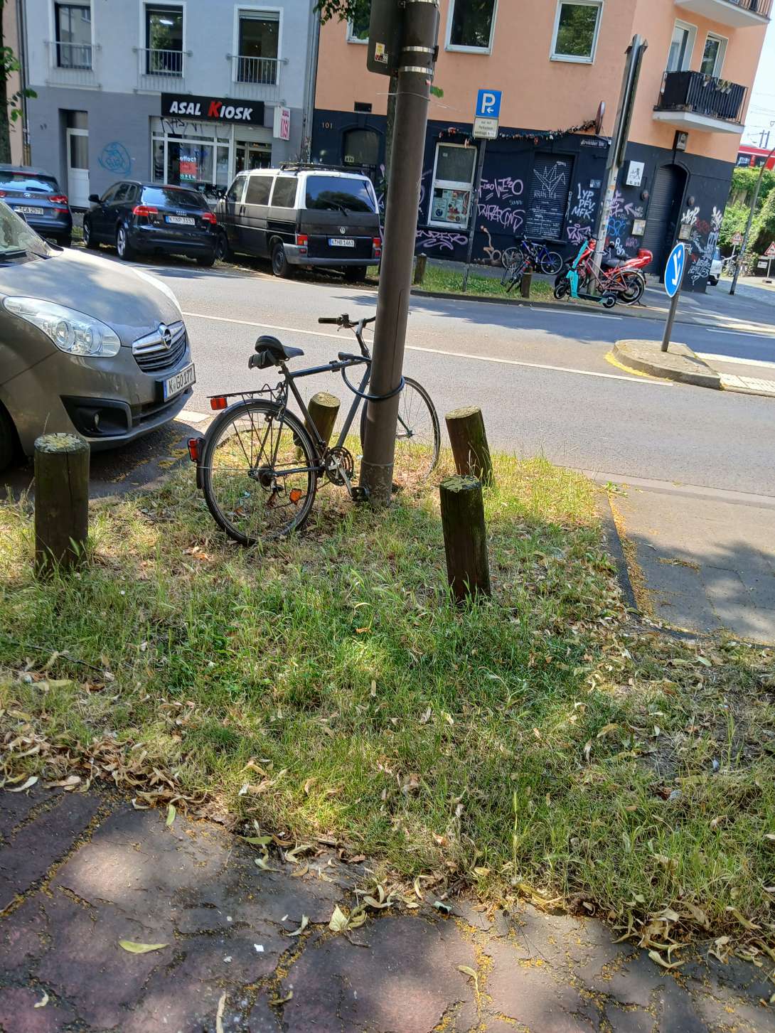 Bild zu gemeldetem Anliegen vom *2024-06-28 18:57:08