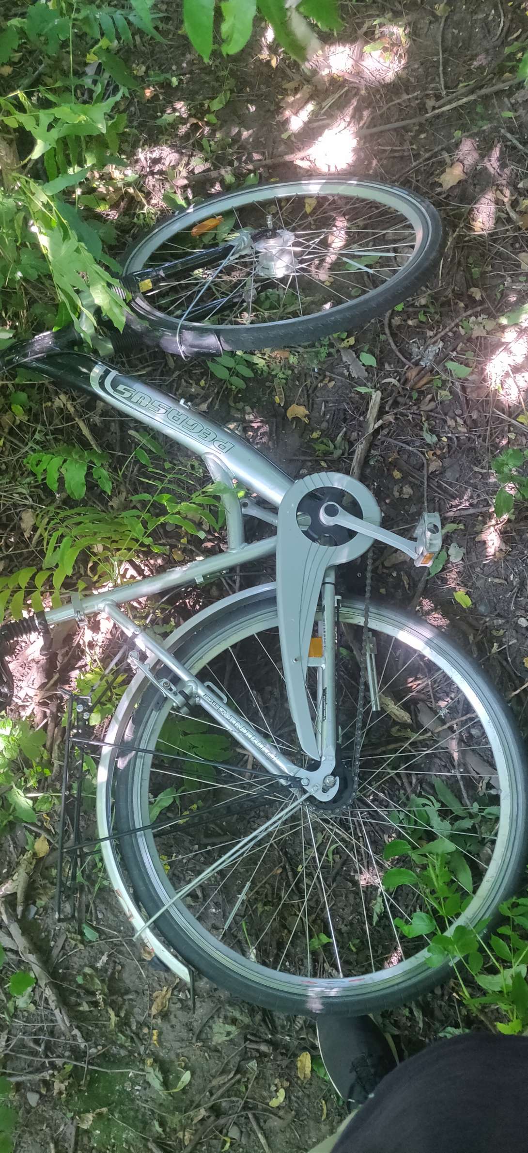 Bild zu gemeldetem Anliegen vom *2024-06-28 07:45:42