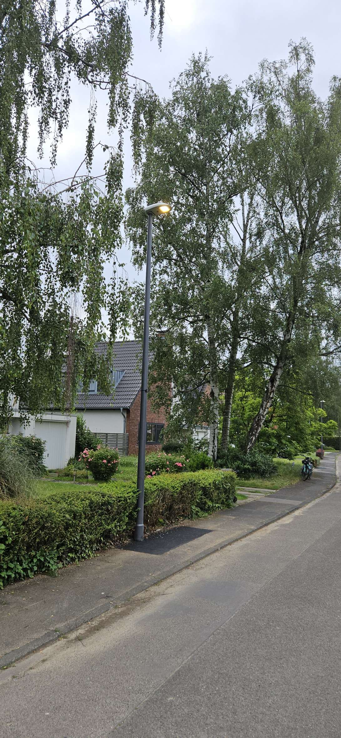 Bild zu gemeldetem Anliegen vom *2024-06-06 09:02:04