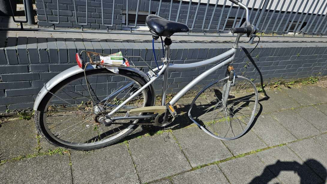 Bild zu gemeldetem Anliegen vom *2024-06-13 07:11:11