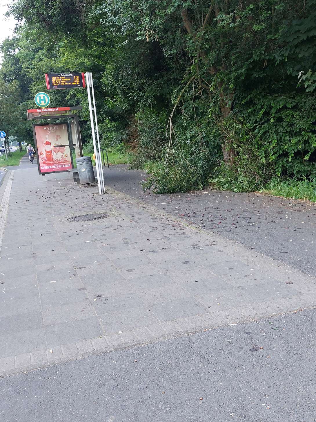 Bild zu gemeldetem Anliegen vom *2024-06-27 07:07:11