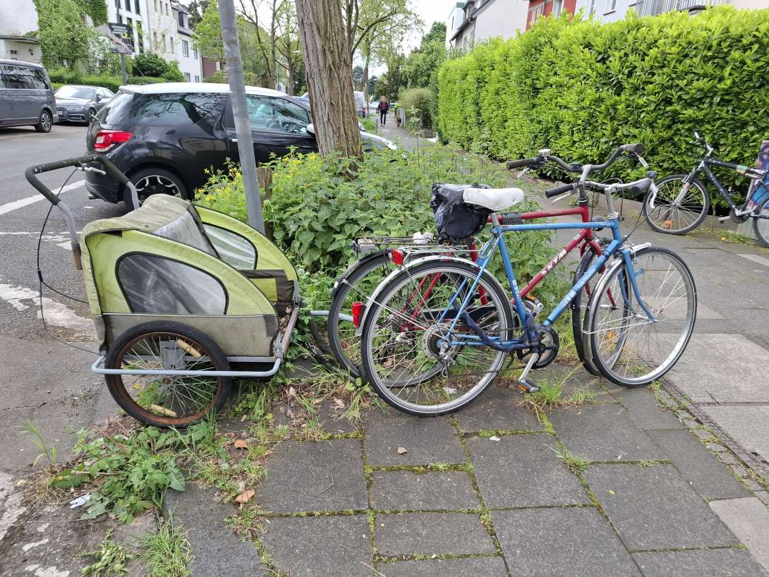 Bild zu gemeldetem Anliegen vom *2024-06-10 17:13:18