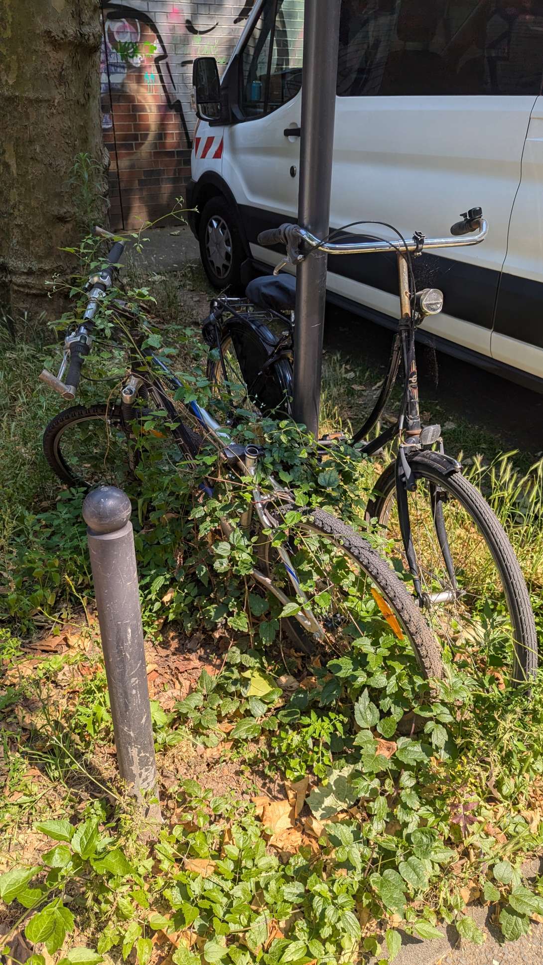 Bild zu gemeldetem Anliegen vom *2024-06-28 07:46:08