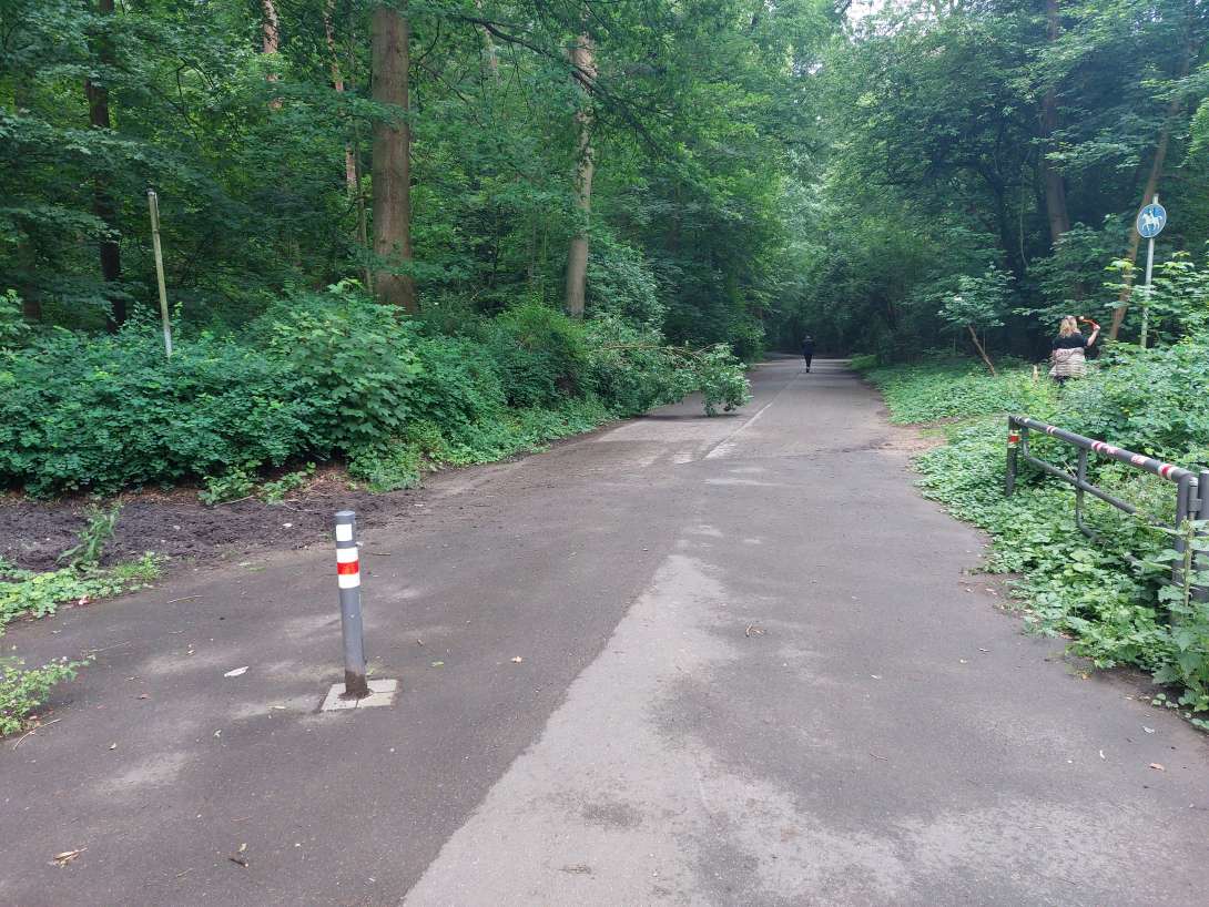 Bild zu gemeldetem Anliegen vom *2024-06-01 10:52:44